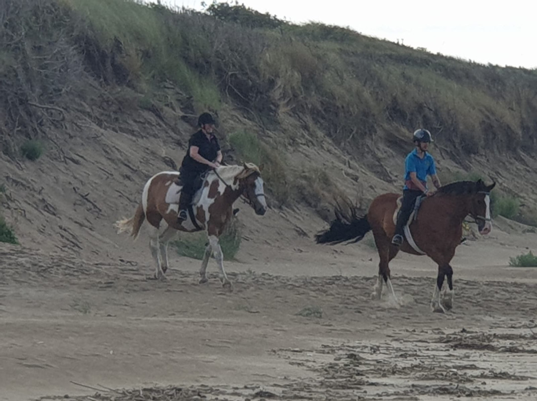 Pembrey Park Riding Centre景点图片