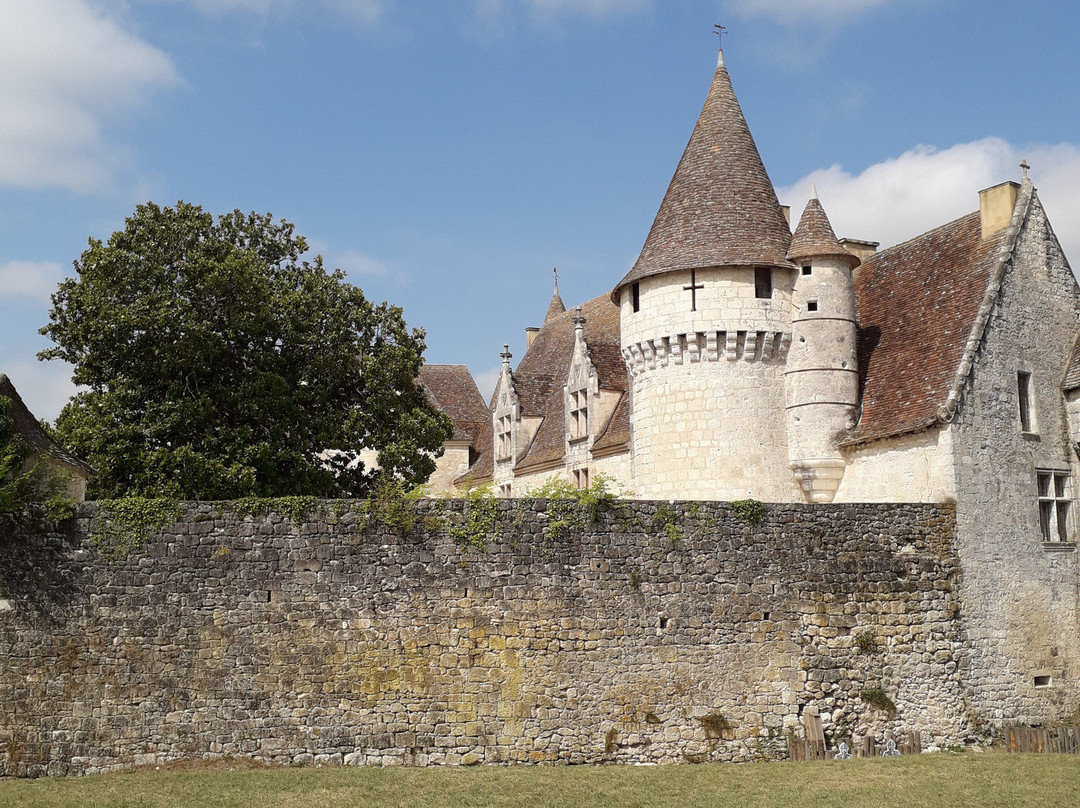 Château de Bridoire景点图片