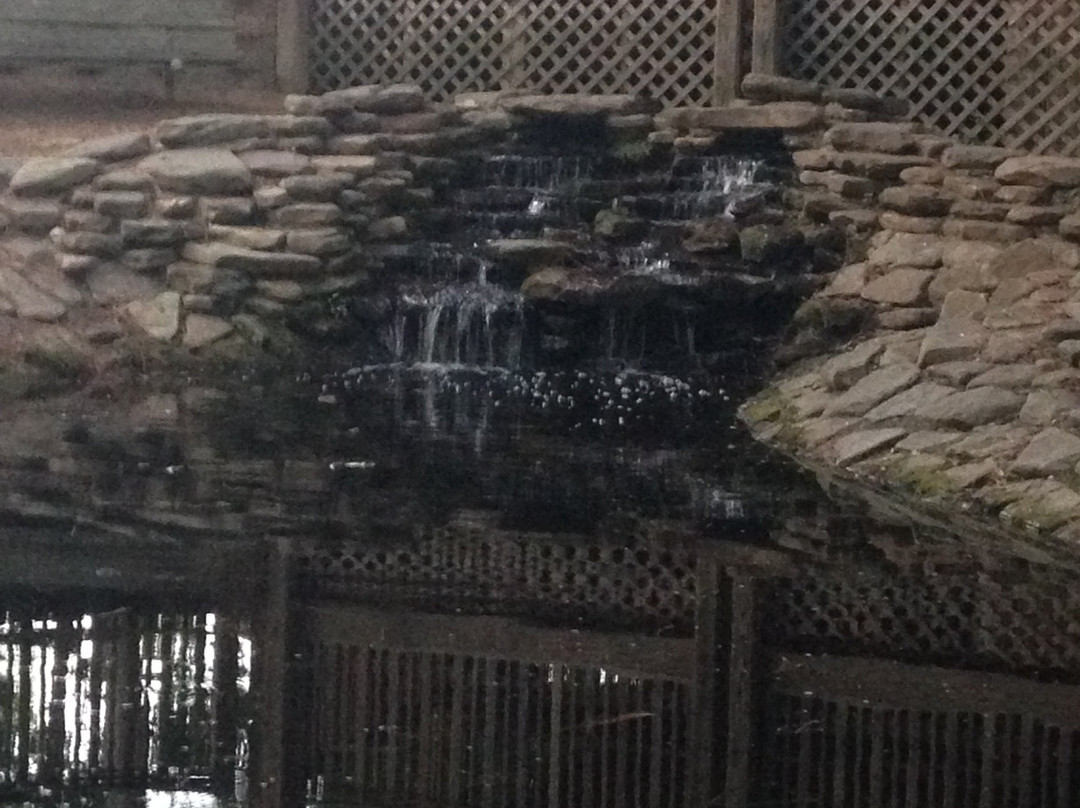 Virginia Hylton Park-列克星敦必去景点