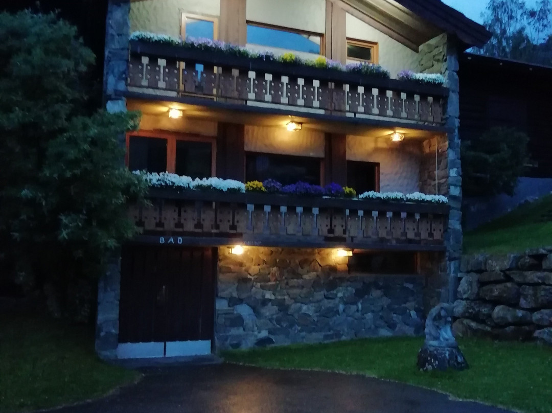 Elveseter Hotel主图