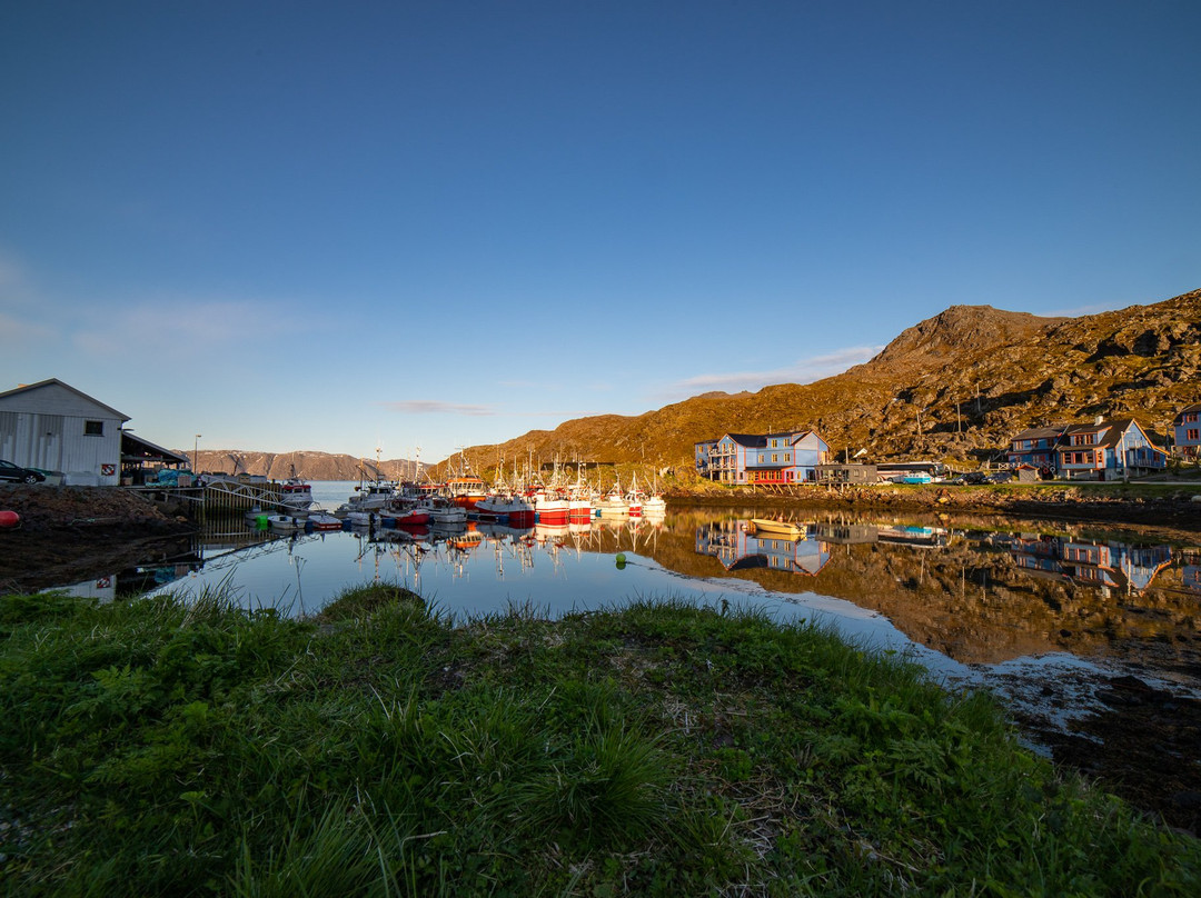 Arctic Guide Service-霍宁斯沃格必去景点