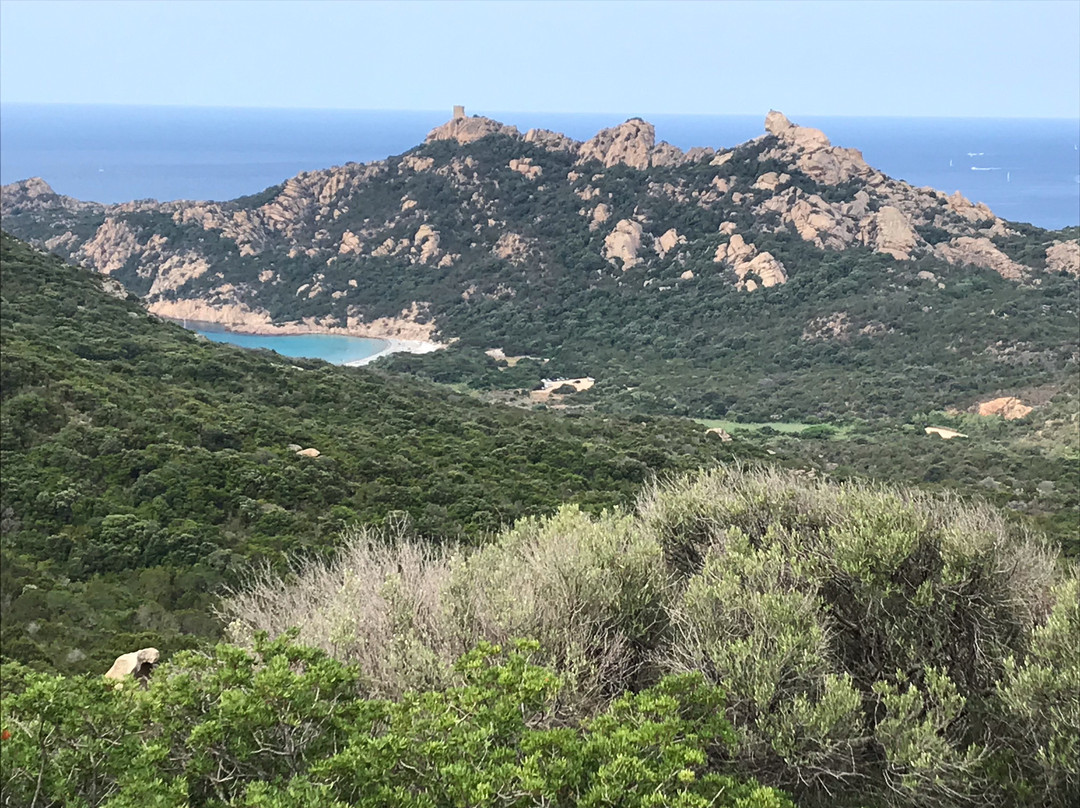 Plage De Roccapina景点图片