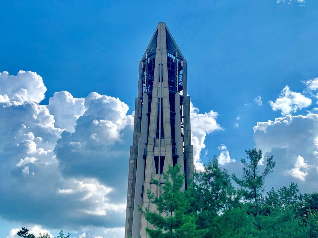 Moser Tower & Millennium Carillon景点图片