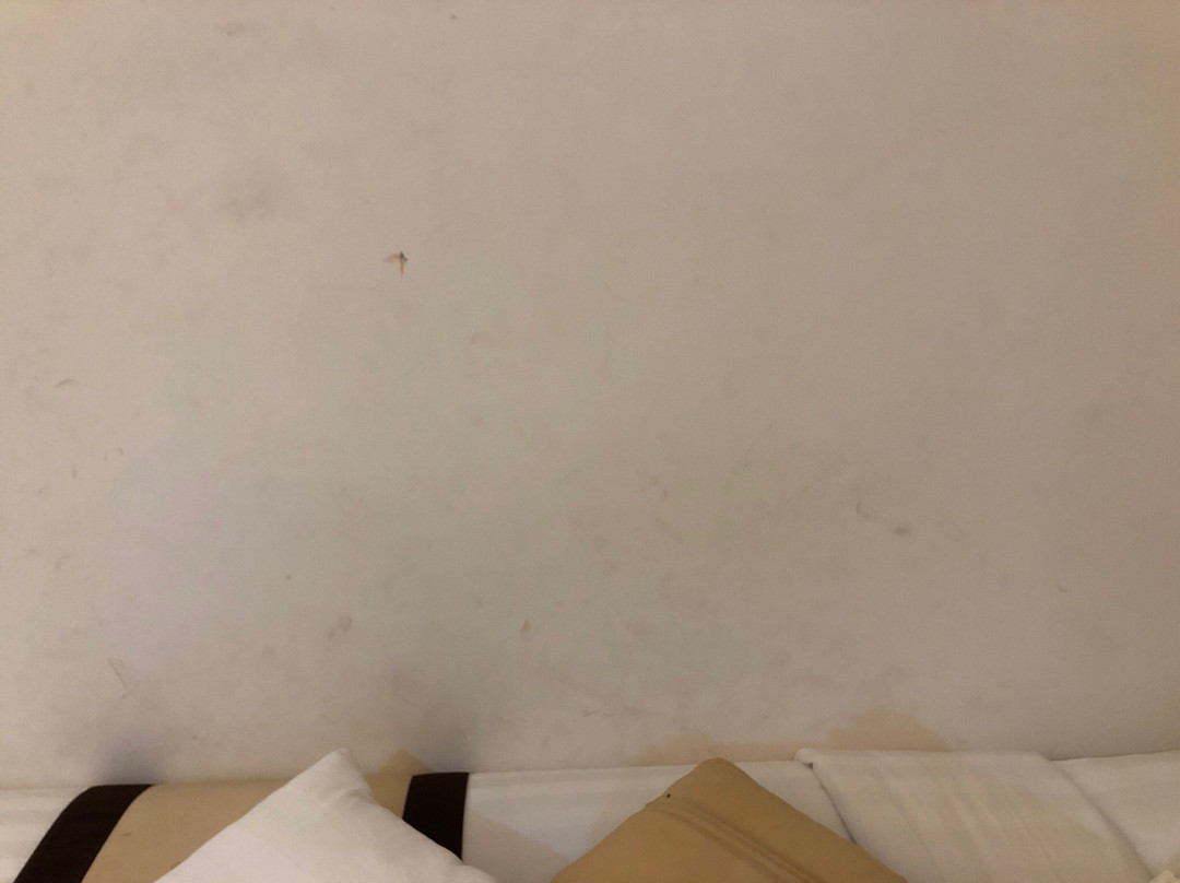 Mekong My Tho Hotel主图