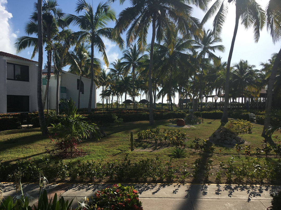 Club Amigo Caracol主图