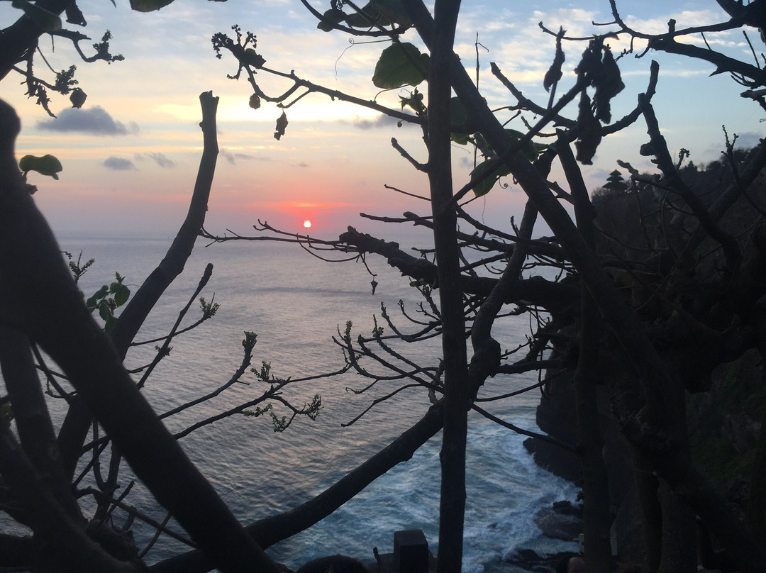 Adventures by Arie-登巴萨必去景点