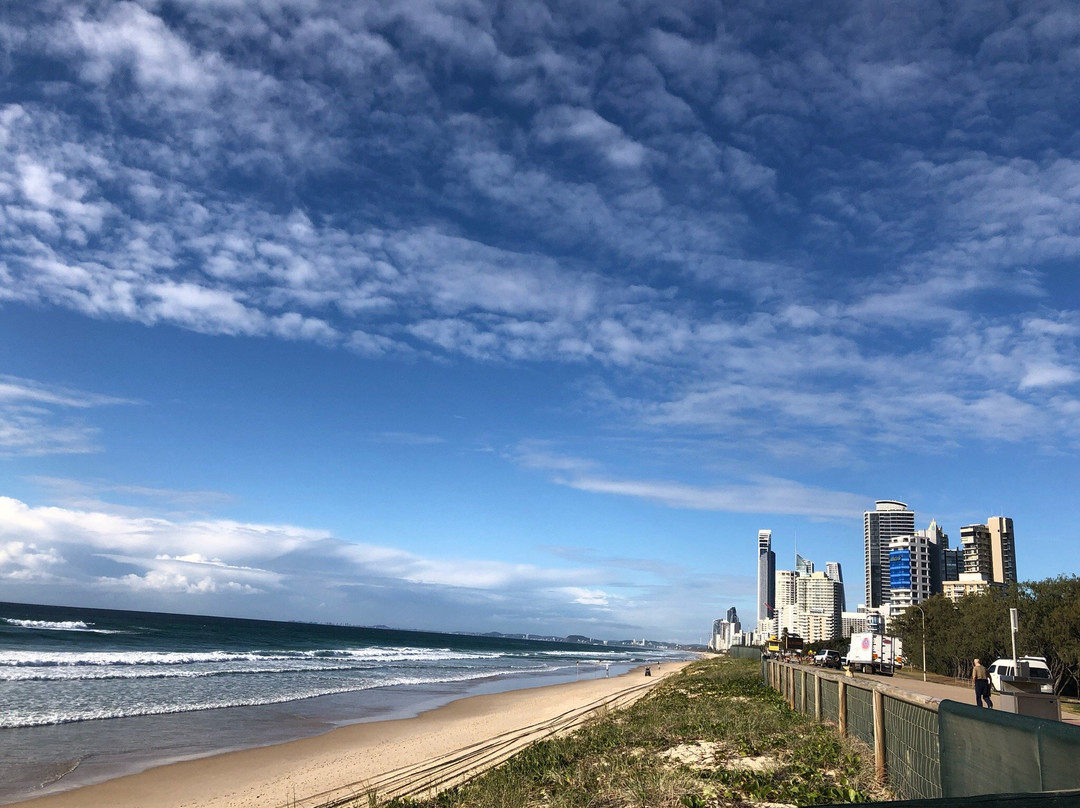 Narrow Neck Beach景点图片