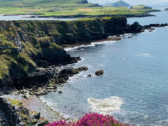 Walsh Taxi-基拉尼必去景点