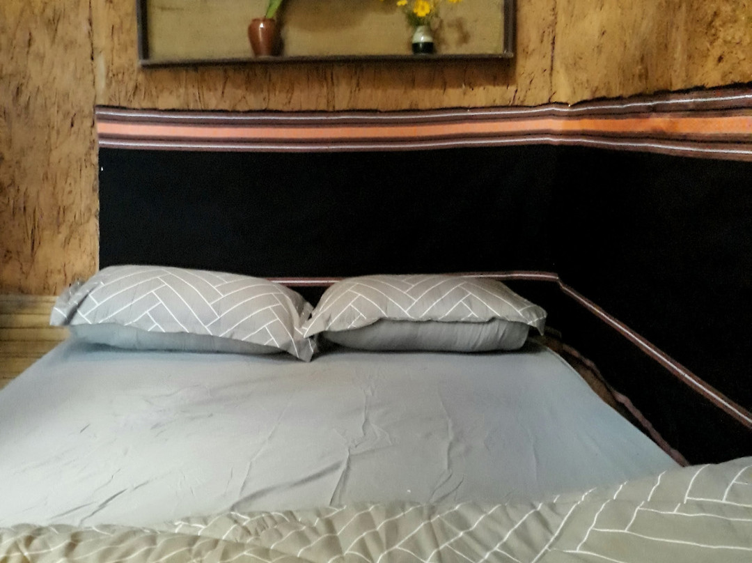 Coffee Homestay Lang Ho主图