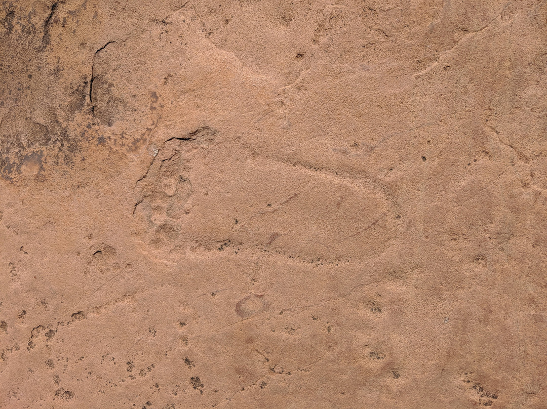 Matsieng's Footprints景点图片