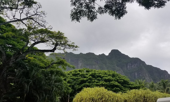 Exclusive Transportation Of Hawaii LLC-火奴鲁鲁必去景点