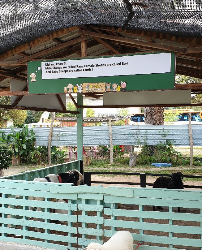 Aves World Broga-Semenyih必去景点