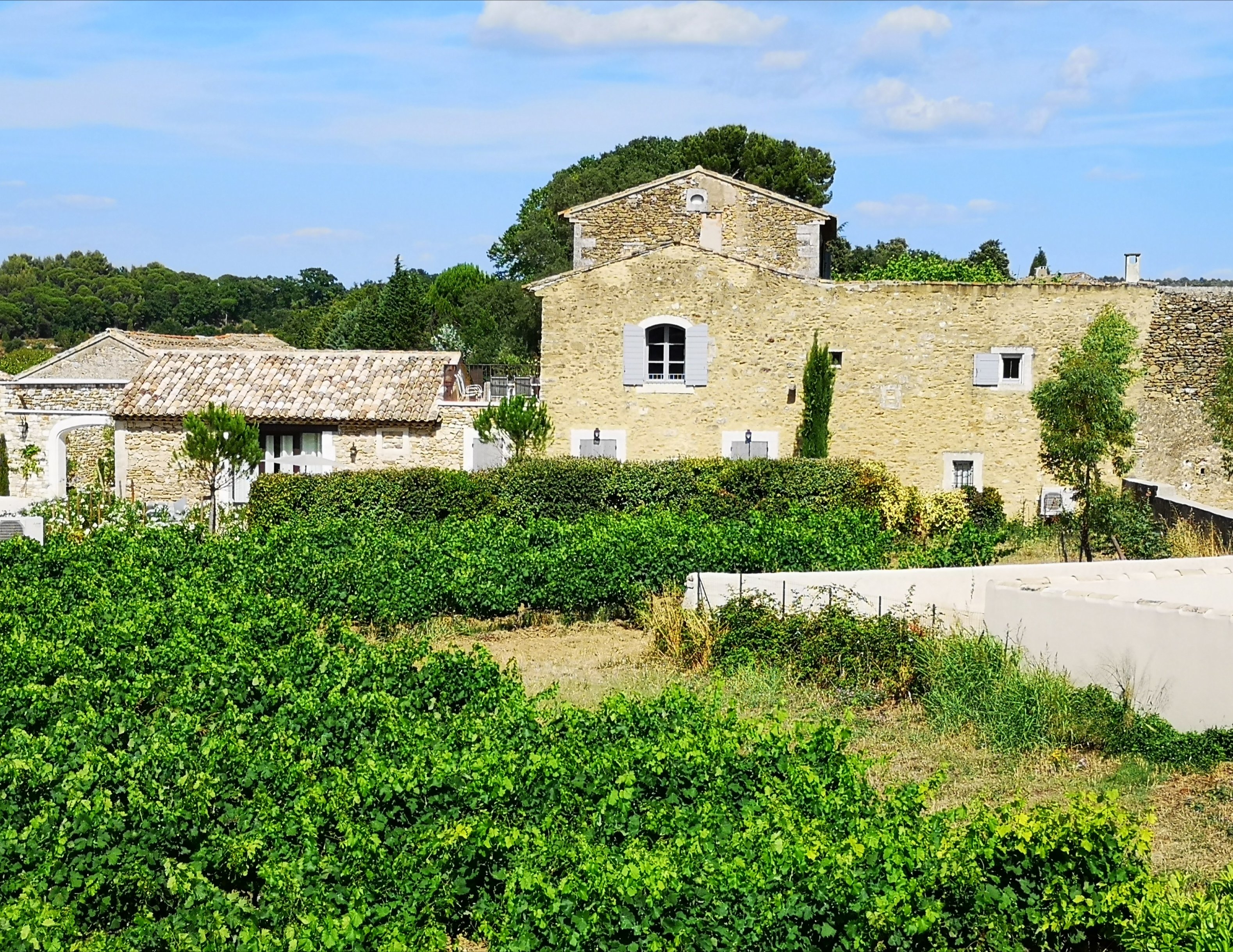 Le Jardin D'ivana-官方