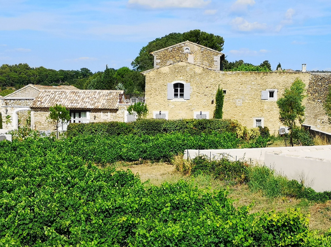 Le Jardin D'ivana主图