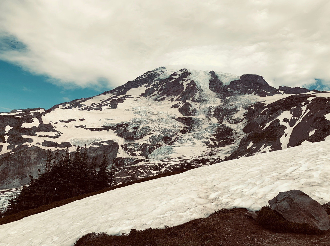 Camp Muir Trail景点图片