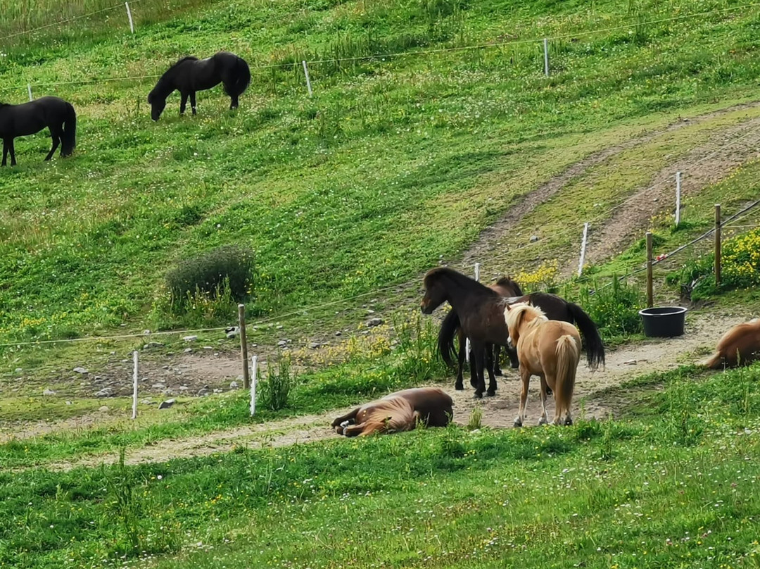 Dalseter Høyfjellshotell主图