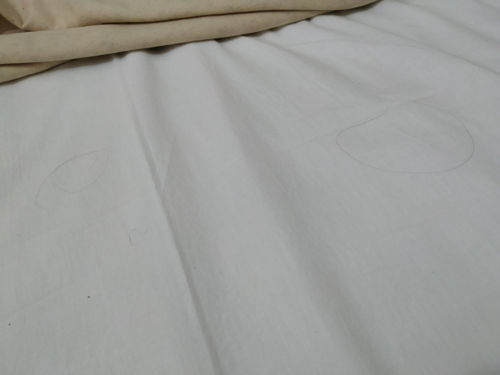 Hotel La Parra主图