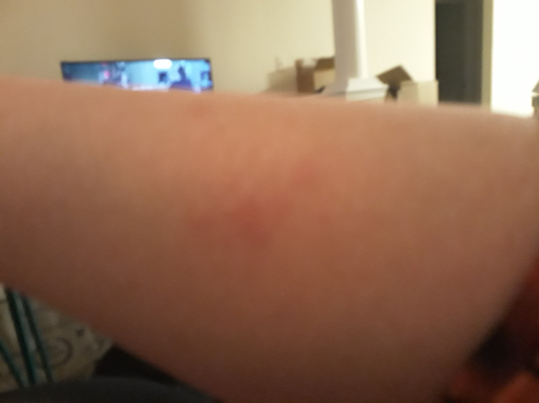 Americas Best Value Inn Stillwater St. Paul