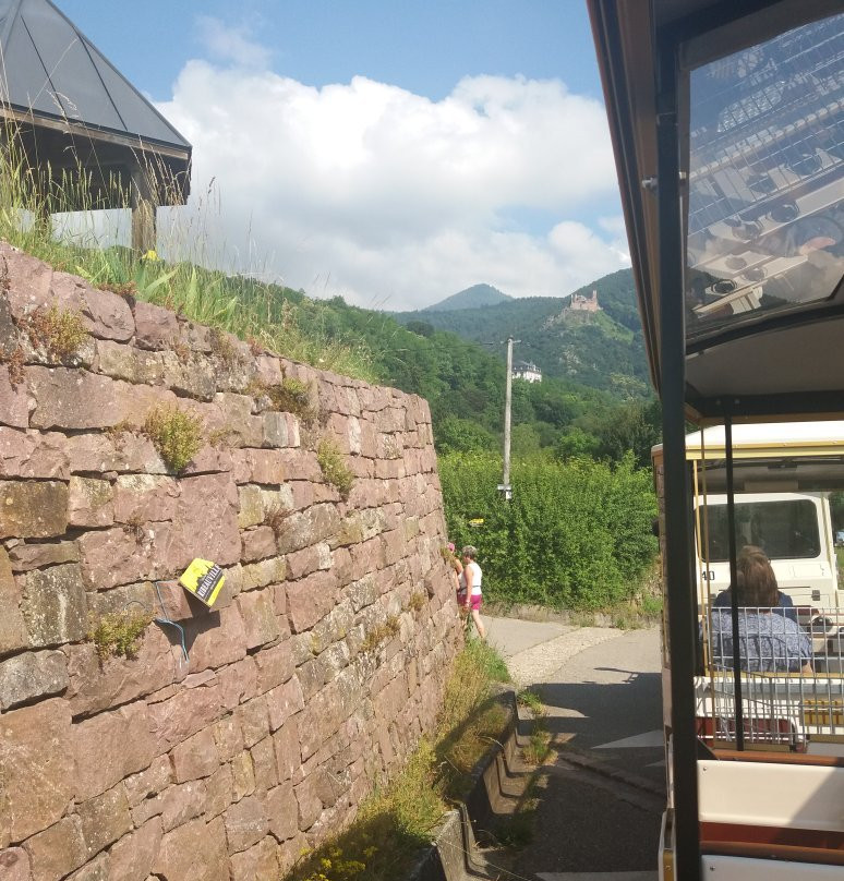 Petit Train Touristique景点图片