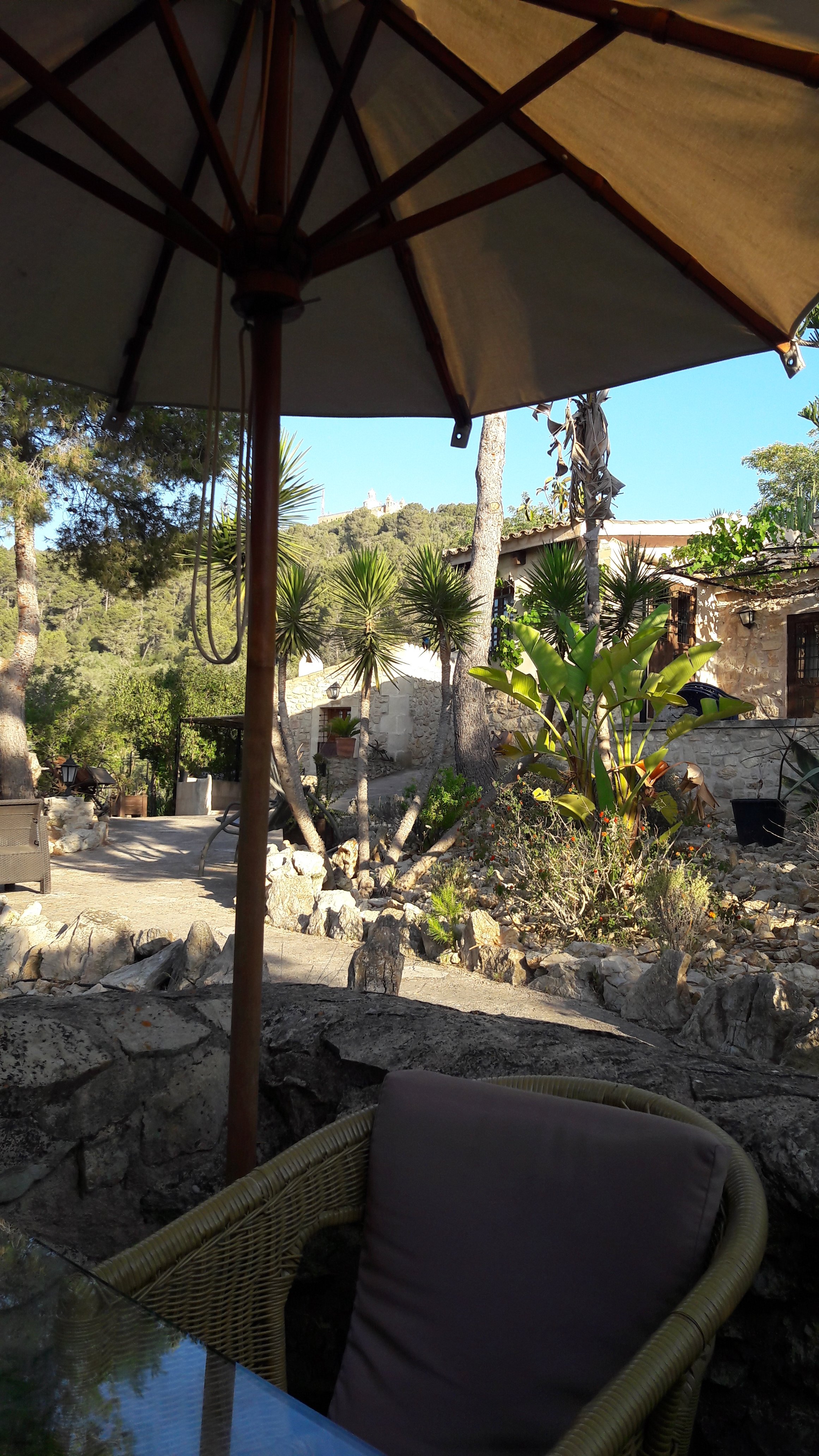 Finca Son Torrat-官方