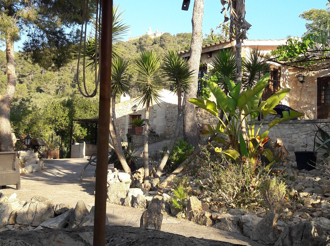 Finca Son Torrat主图