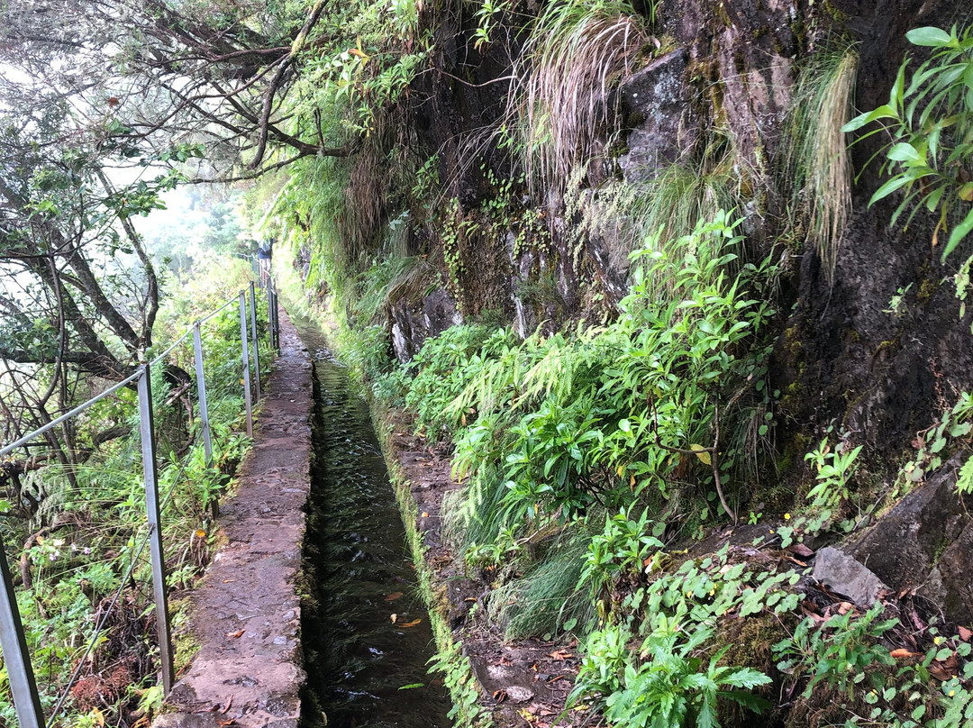 Parque Florestal das Queimadas景点图片