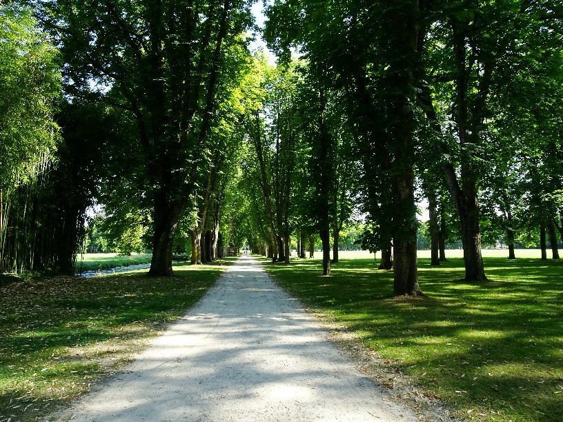 Logis Hôtel le Puits Doré主图
