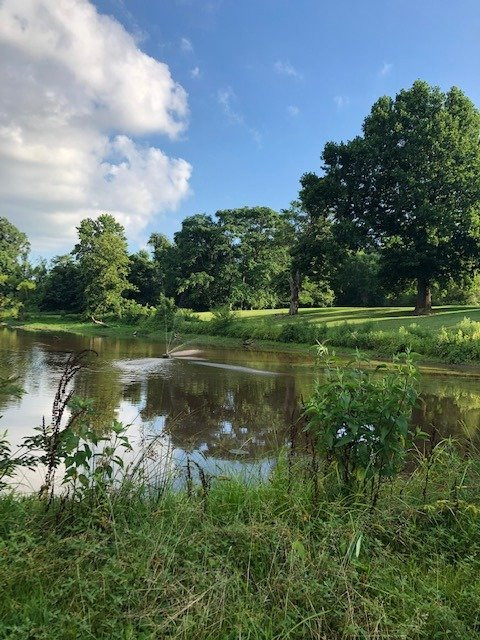 The Inn at Mitchell House主图