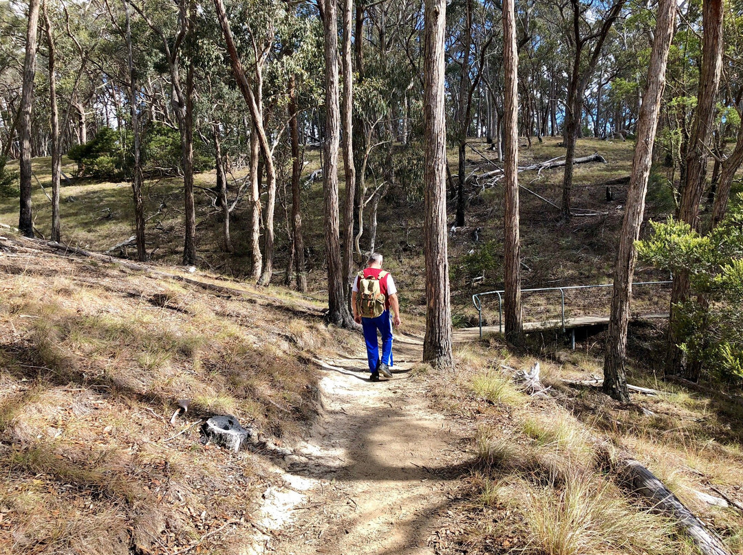 Oxley Wild Rivers National Park景点图片