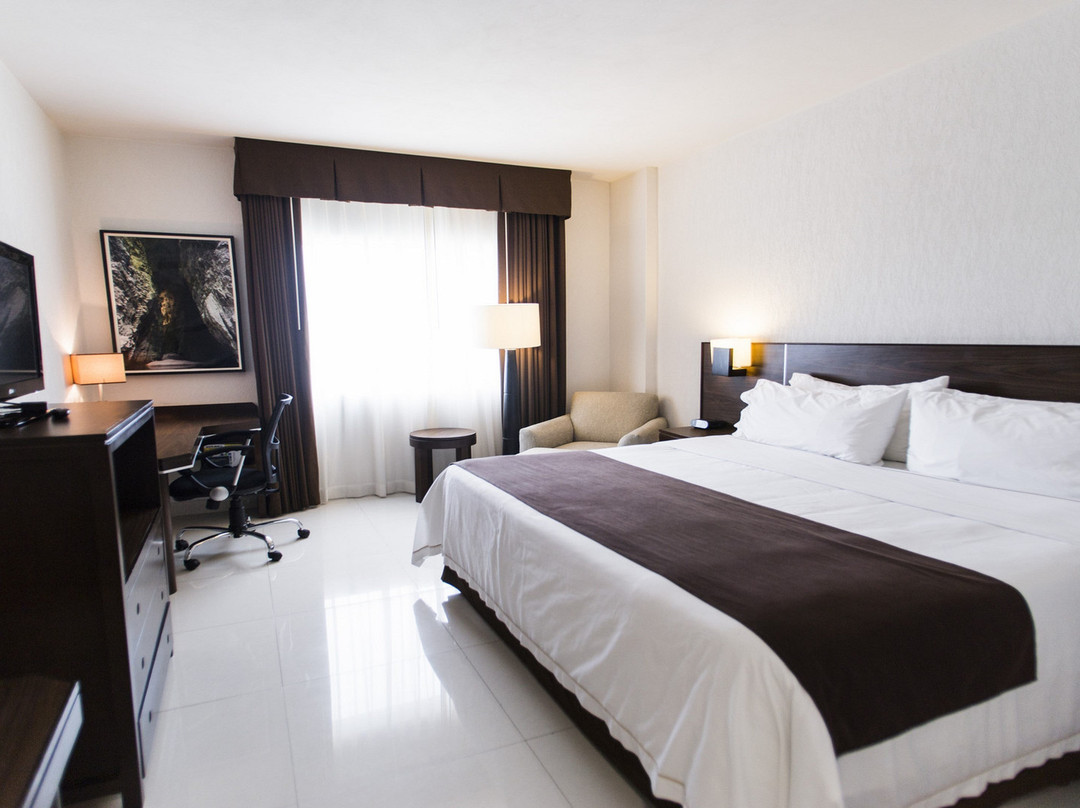 Holiday Inn Express Tuxtla Gutierrez La Marimba by IHG主图