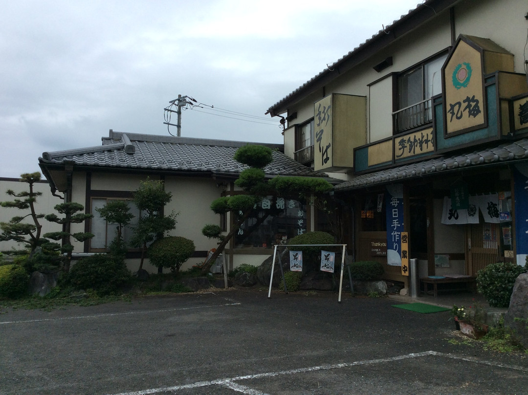 丸梅そば