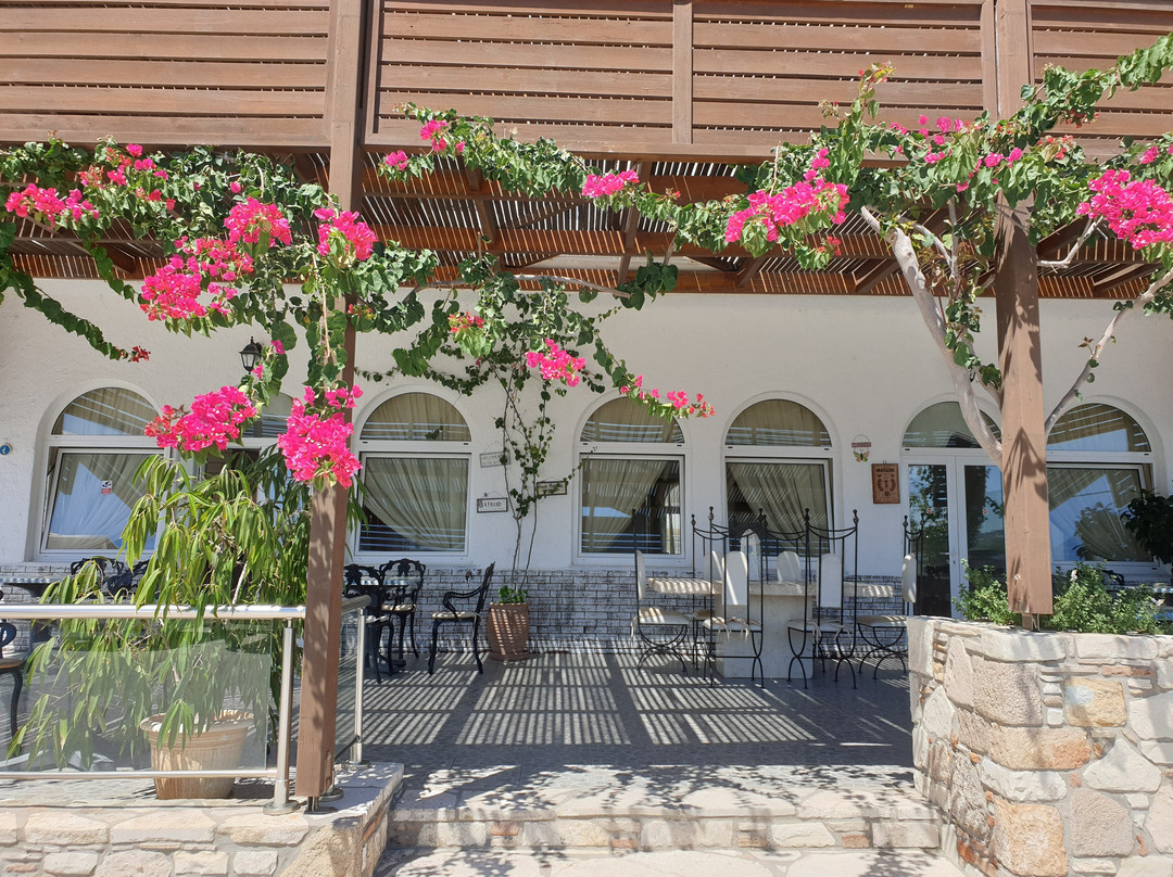 Kokalakis Beach Hotel主图