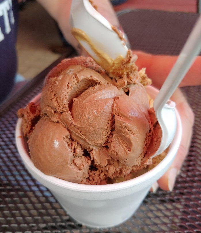 Wells Hollow Creamery-谢尔顿必去景点