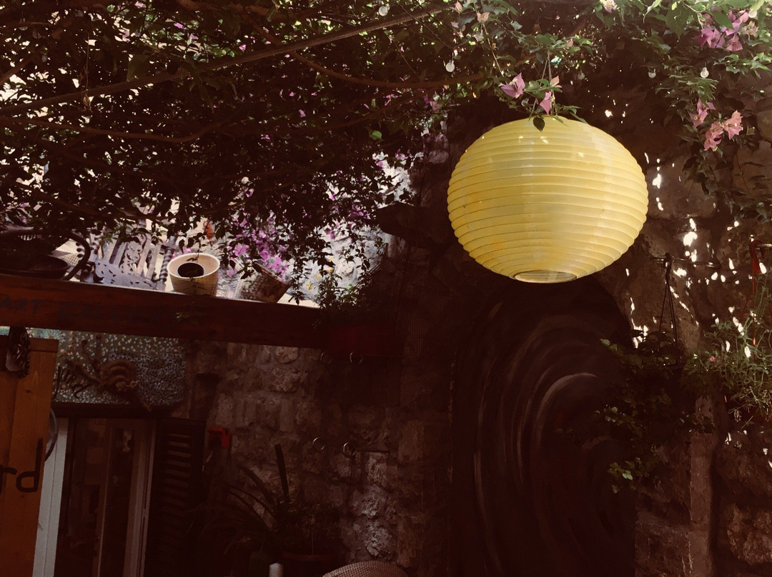 Magic Yard Gallery-布德瓦必去景点