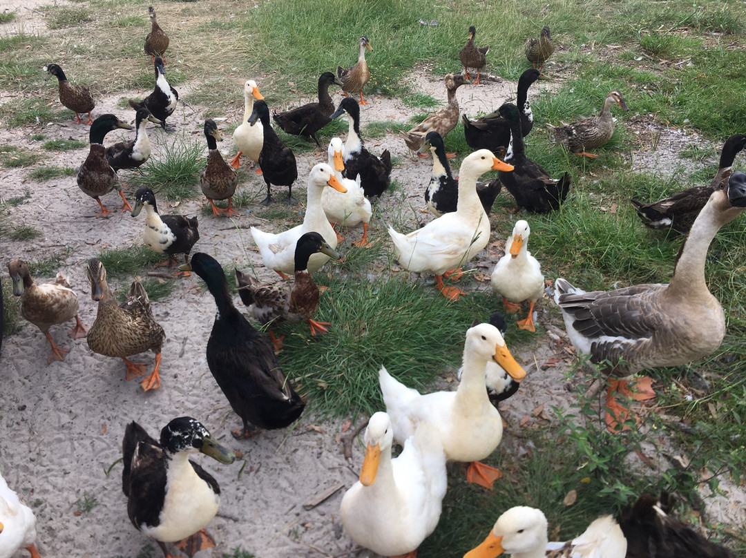 Panama City Garden Club-巴拿马城必去景点