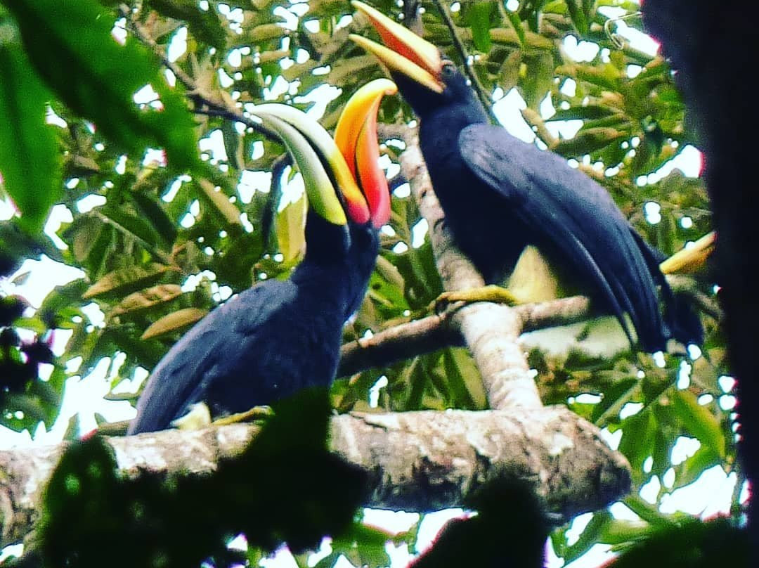 Sadar Wisata Guesthouse主图