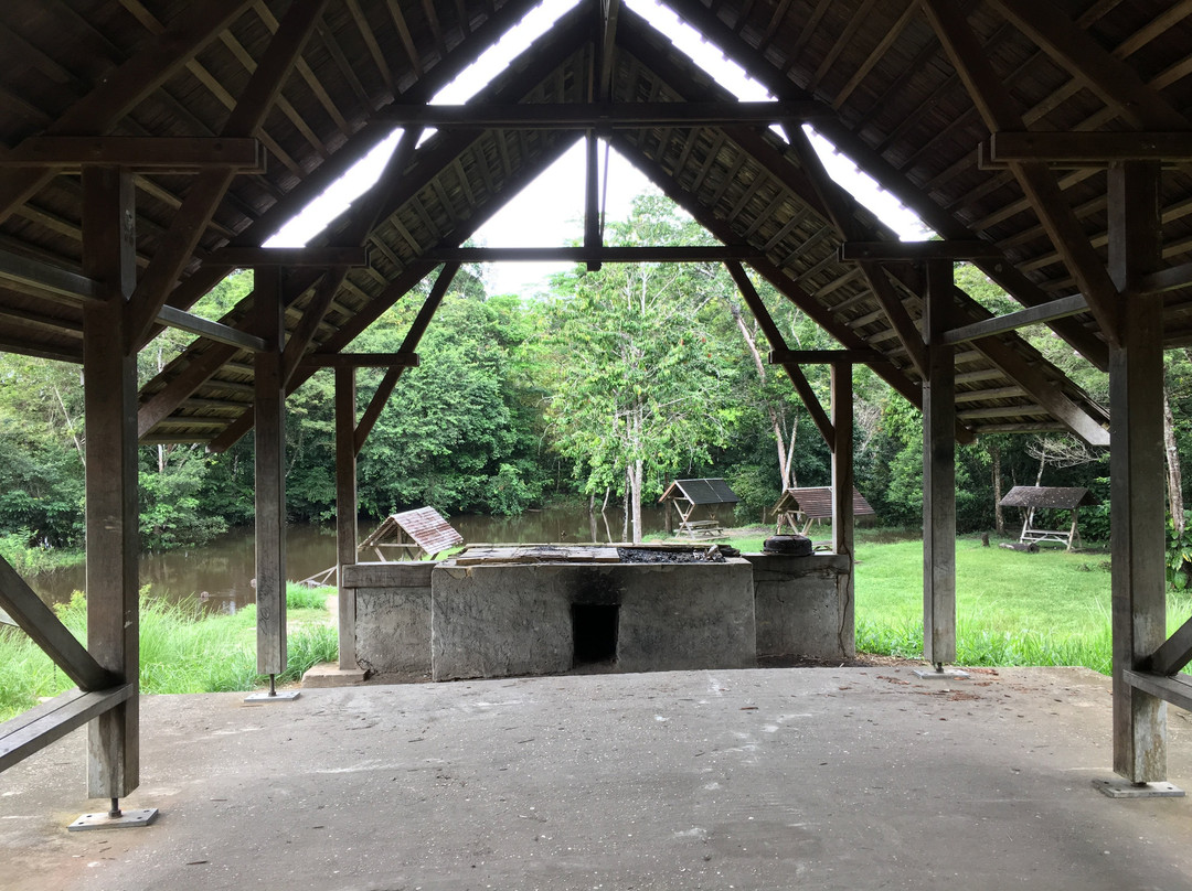 Crique Toussaint-Sinnamary必去景点