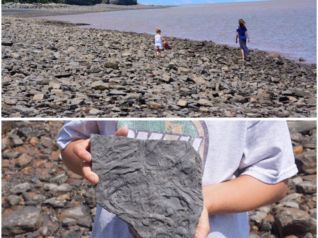 Blue Beach-Hantsport必去景点