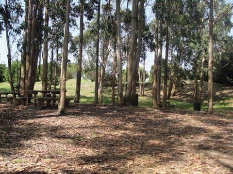 Parque da Cidade-波瓦－迪瓦尔津必去景点