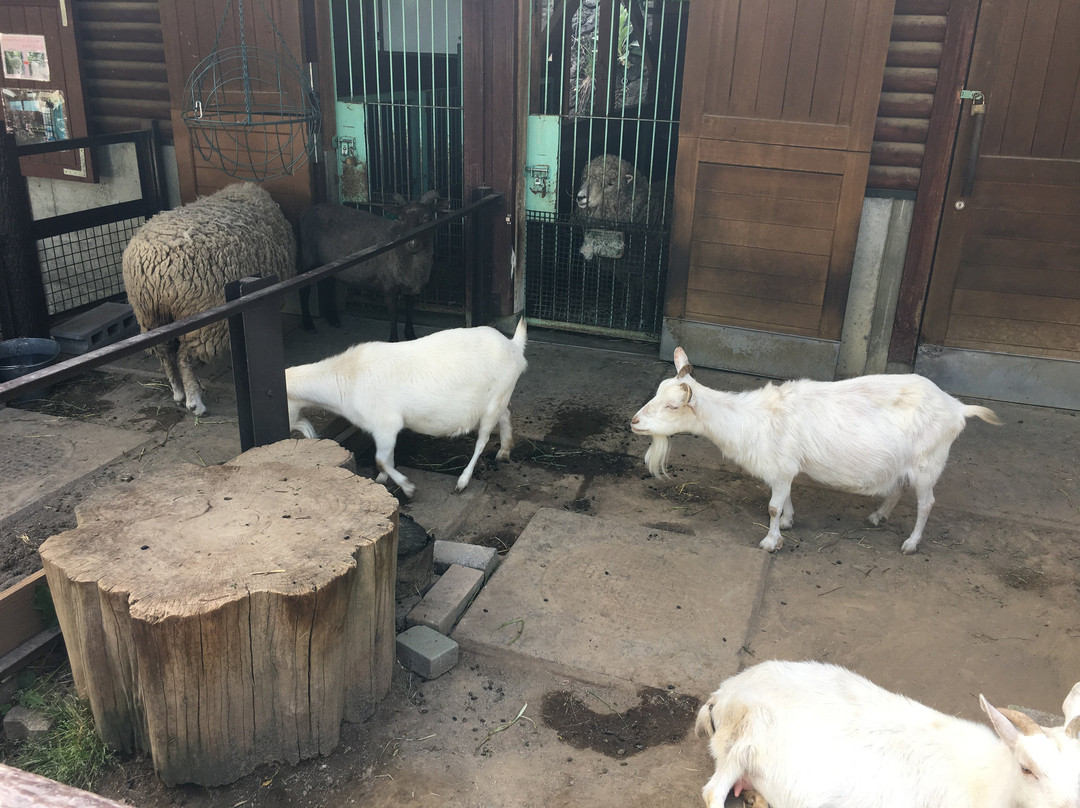Nagano Chausuyama Zoo-长野县必去景点