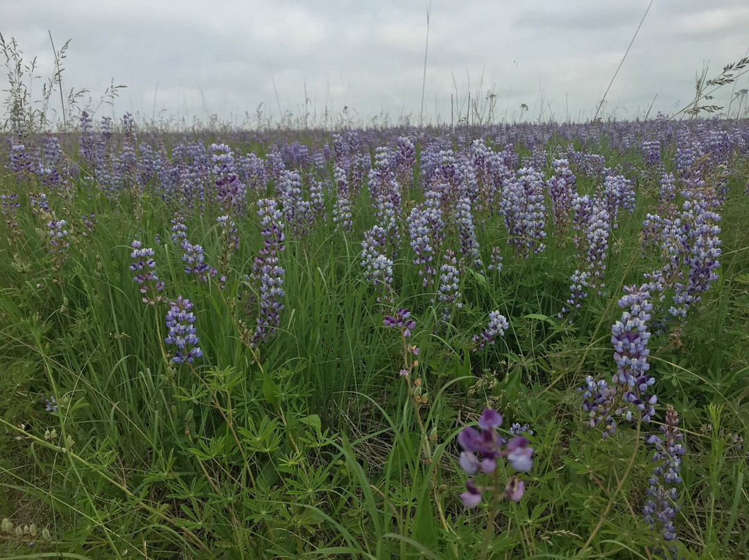 Carpenter St. Croix Valley Nature Center景点图片