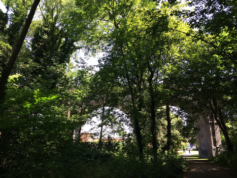 Oxhey Park-沃特福德必去景点