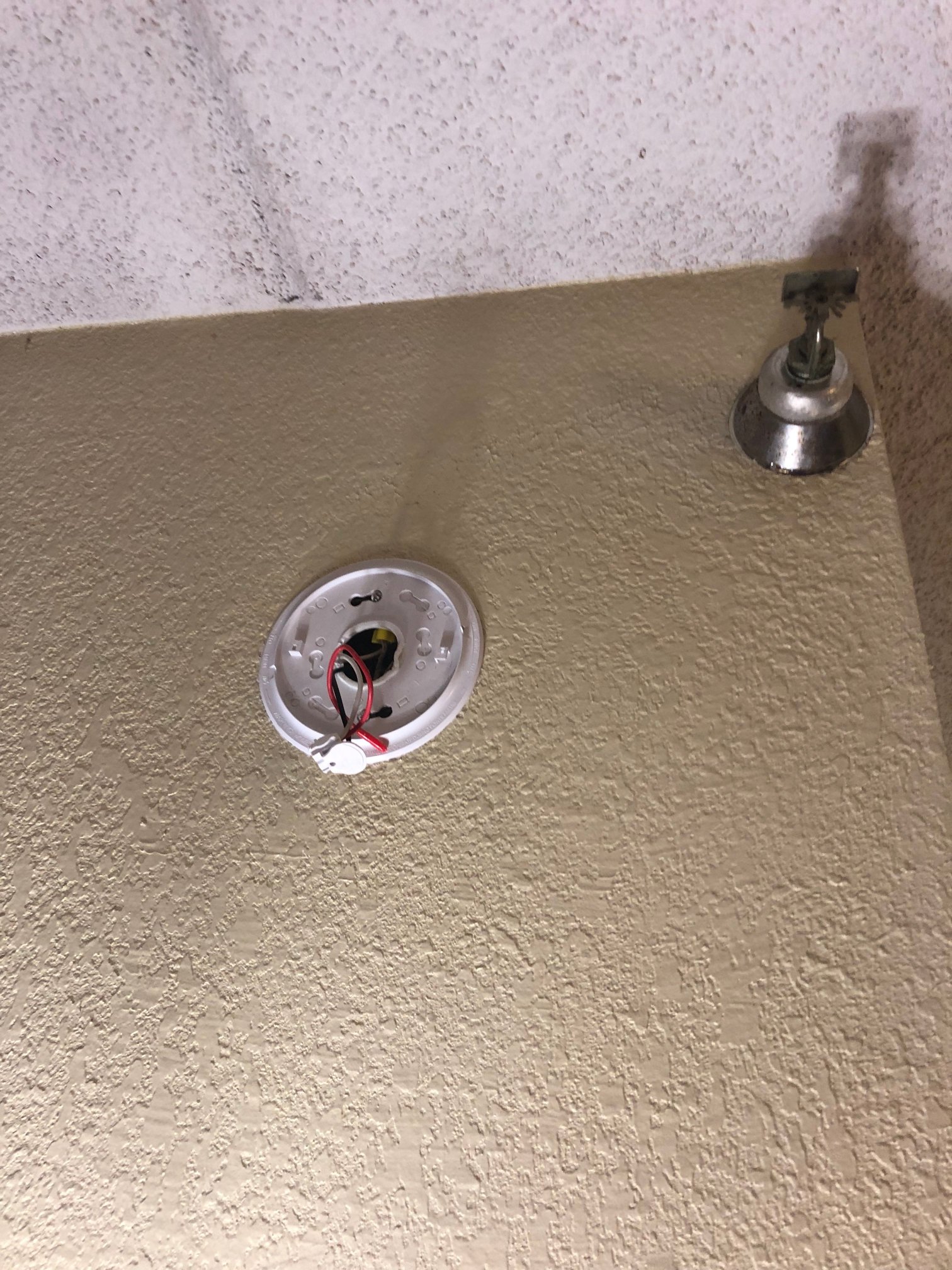 Red Roof Inn Tampa Brandon-portrait