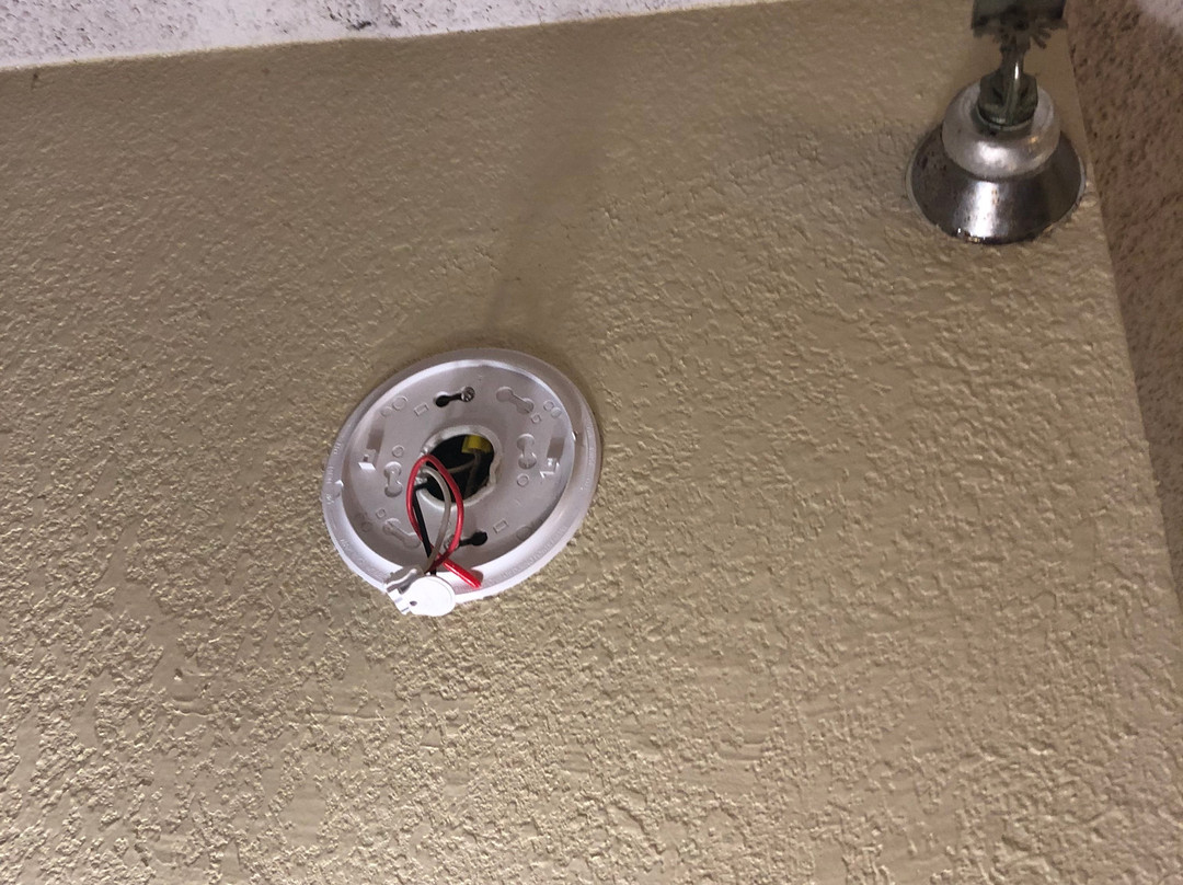 Red Roof Inn Tampa Brandon主图