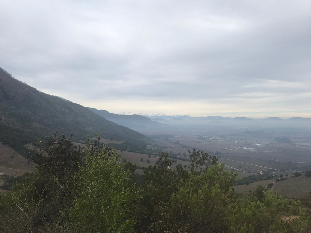 Vina Las Ninas-圣克鲁斯必去景点