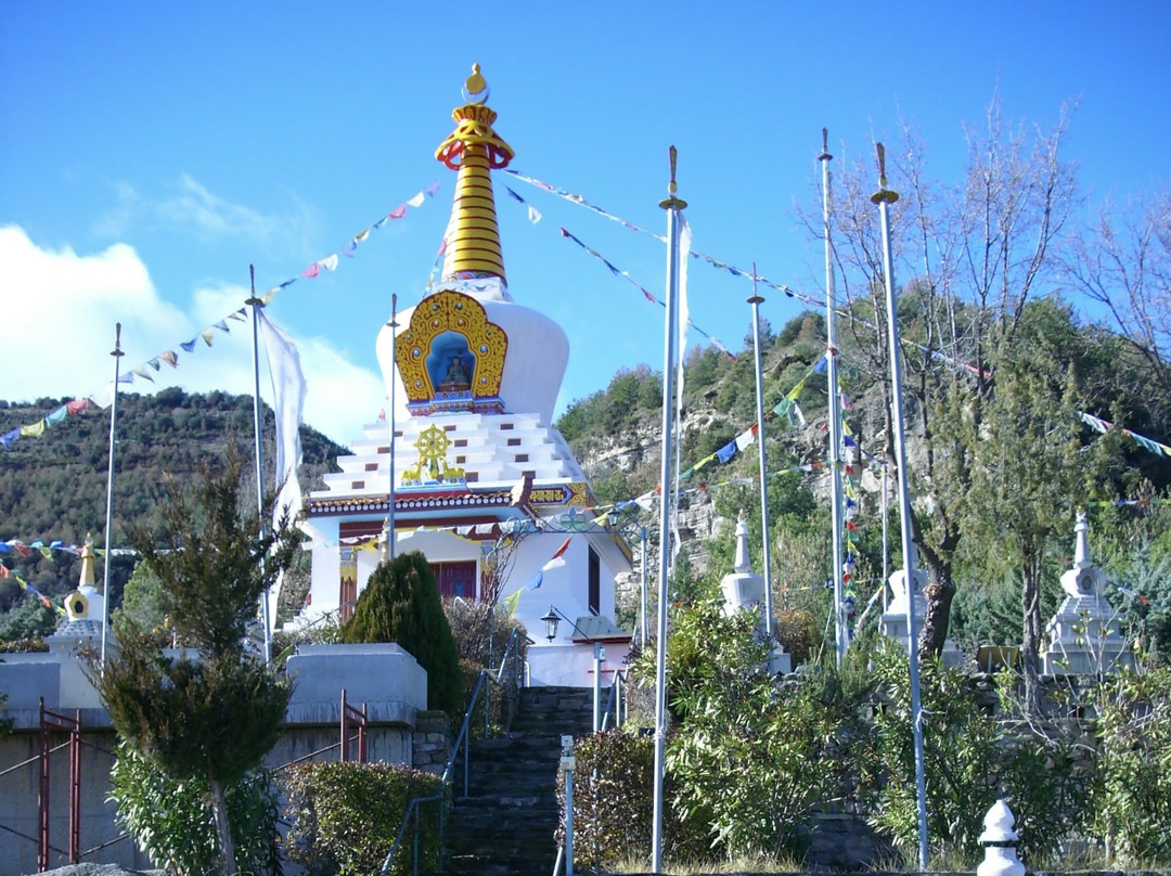 Budist Monastery Dag Shang Kagyu景点图片