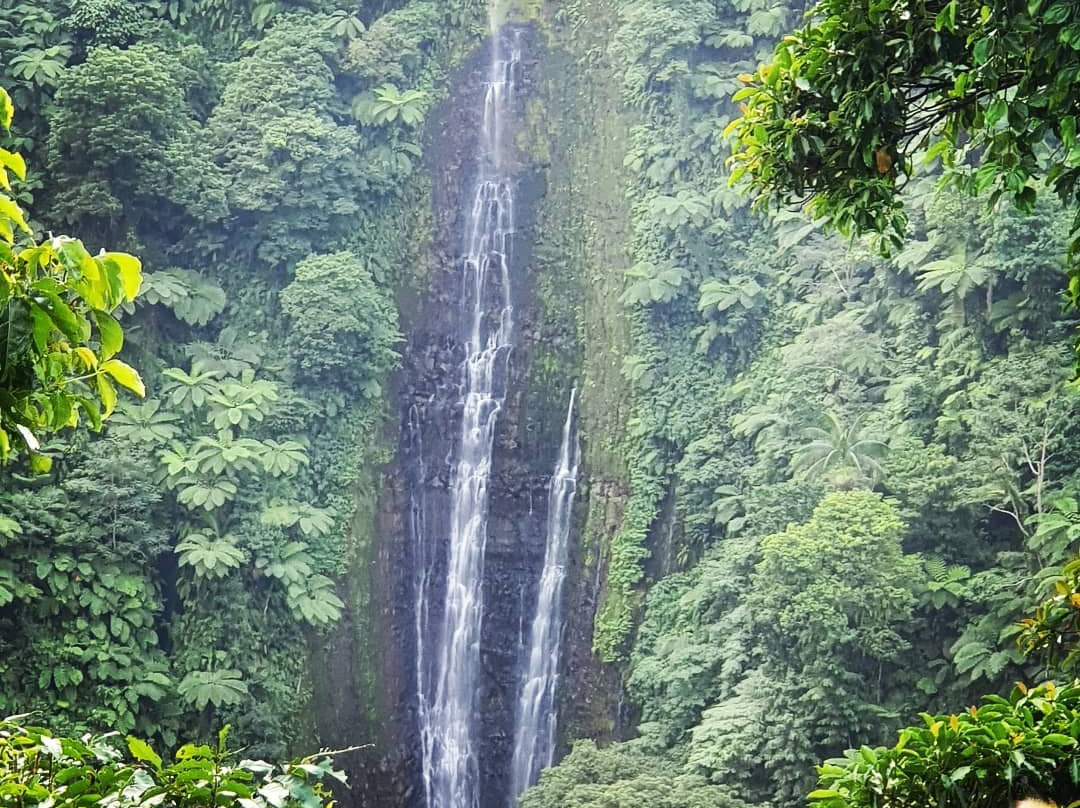 Papapapaitai Falls景点图片