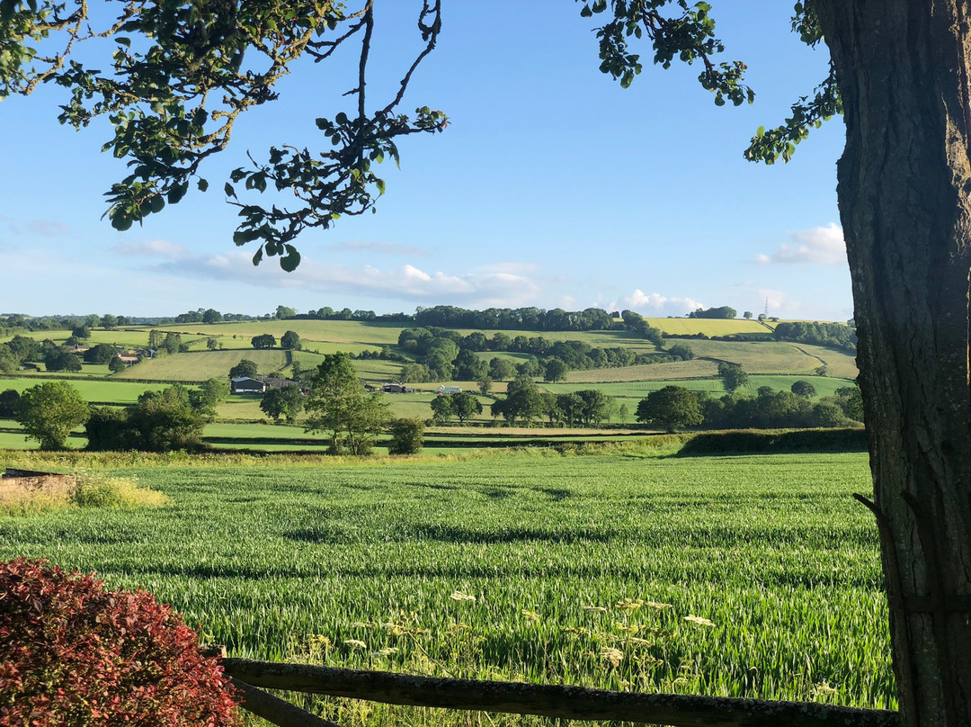 Corsham Field Farmhouse主图