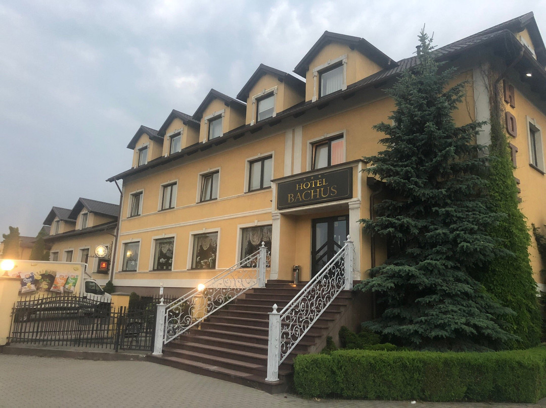 Hotel Bachus主图