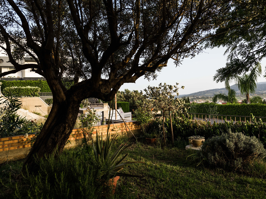 B&b Torre Ancinale Soverato主图